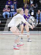 Photo from the gallery "Bloom-Carroll @ Circleville"