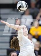 Photo from the gallery "Bloom-Carroll @ Circleville"