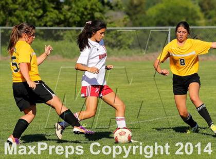 Thumbnail 3 in Rio Linda @ Bella Vista photogallery.
