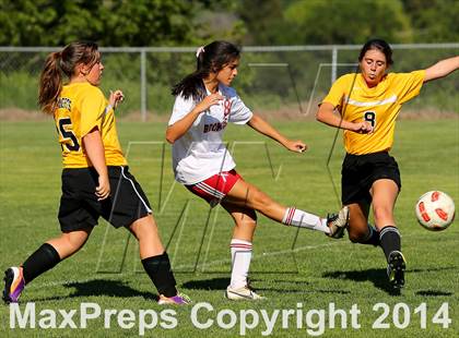 Thumbnail 1 in Rio Linda @ Bella Vista photogallery.