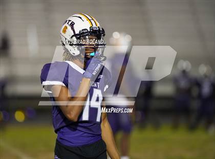 Thumbnail 3 in Citronelle @ Blount photogallery.