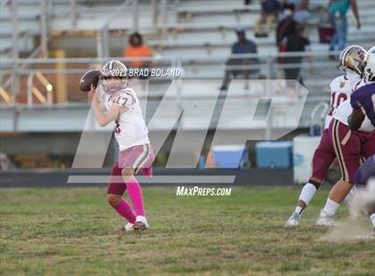 Thumbnail 1 in Citronelle @ Blount photogallery.