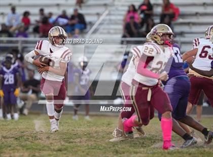 Thumbnail 1 in Citronelle @ Blount photogallery.