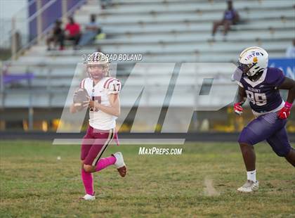 Thumbnail 3 in Citronelle @ Blount photogallery.