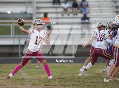 Thumbnail 1 in Citronelle @ Blount photogallery.