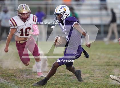 Thumbnail 3 in Citronelle @ Blount photogallery.