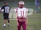 Photo from the gallery "Citronelle @ Blount"