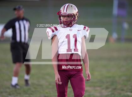 Thumbnail 2 in Citronelle @ Blount photogallery.