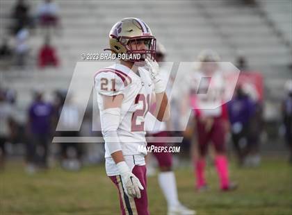 Thumbnail 3 in Citronelle @ Blount photogallery.