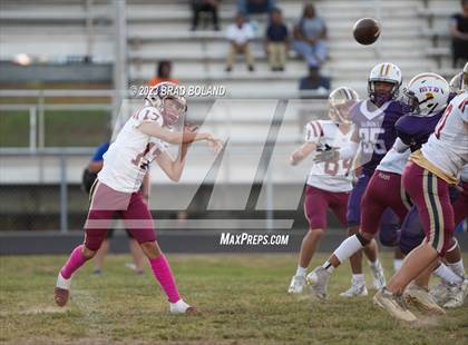 Thumbnail 2 in Citronelle @ Blount photogallery.