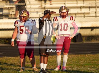 Thumbnail 1 in Citronelle @ Blount photogallery.