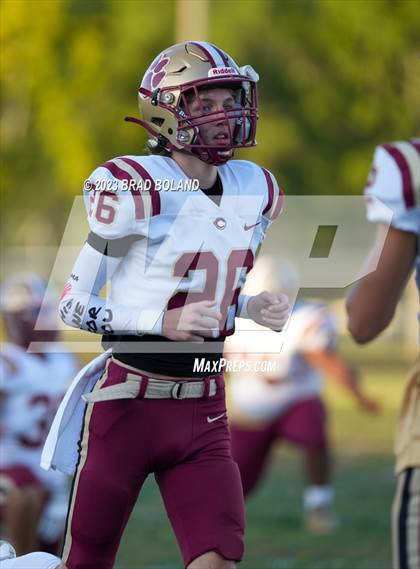 Thumbnail 1 in Citronelle @ Blount photogallery.