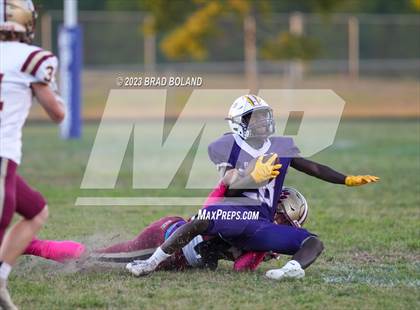 Thumbnail 2 in Citronelle @ Blount photogallery.