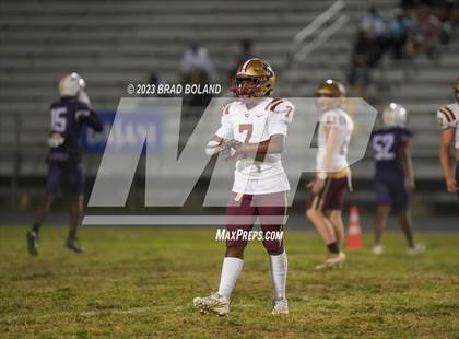Thumbnail 1 in Citronelle @ Blount photogallery.