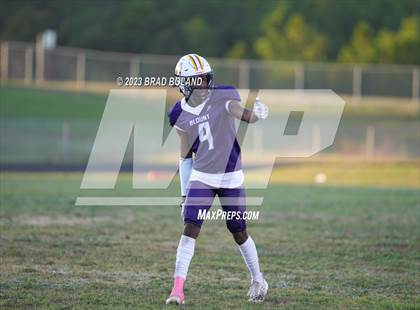 Thumbnail 1 in Citronelle @ Blount photogallery.