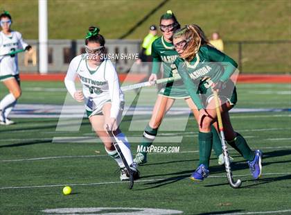 Thumbnail 3 in Nashoba vs. Westwood (MIAA Division 2 Final) photogallery.