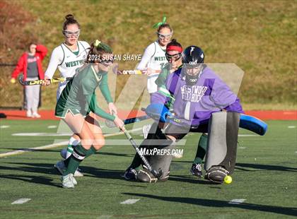 Thumbnail 1 in Nashoba vs. Westwood (MIAA Division 2 Final) photogallery.
