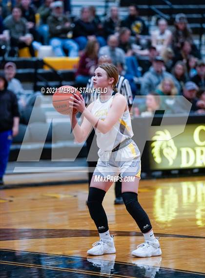 Thumbnail 1 in Boyd @ Chico photogallery.