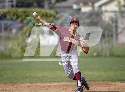 Thumbnail 1 in Arlington @ Esperanza photogallery.