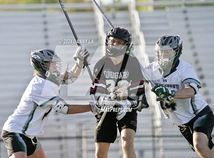 Thumbnail 3 in Oakton @ South County photogallery.