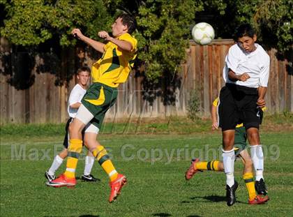 Thumbnail 1 in Yuba City @ Rio Americano photogallery.