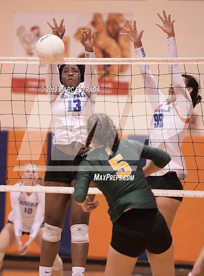 Thumbnail 3 in Shorecrest Prep @ Osceola photogallery.