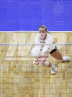 Photo from the gallery "Niwot vs. Durango (CHSAA 4A 3rd Round)"