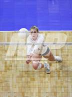 Photo from the gallery "Niwot vs. Durango (CHSAA 4A 3rd Round)"