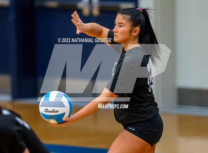Thumbnail 3 in Omaha Westside @ Papillion-LaVista South (Metro Tournament Final) photogallery.