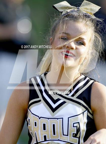 Thumbnail 2 in Farragut @ Bradley Central photogallery.