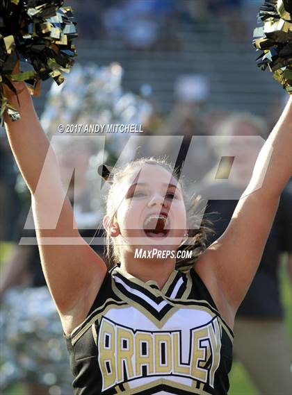 Thumbnail 3 in Farragut @ Bradley Central photogallery.