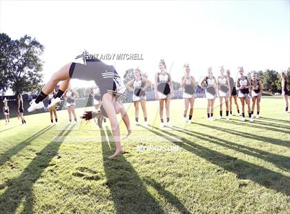 Thumbnail 3 in Farragut @ Bradley Central photogallery.