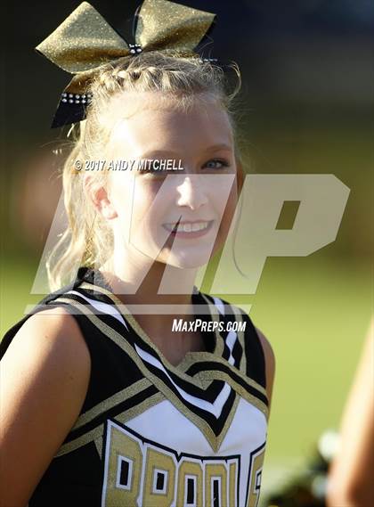 Thumbnail 3 in Farragut @ Bradley Central photogallery.