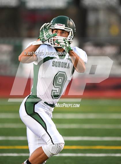 Thumbnail 3 in Sonoma Valley vs. Petaluma photogallery.