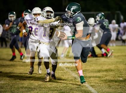 Thumbnail 3 in Marianna @ South Walton photogallery.