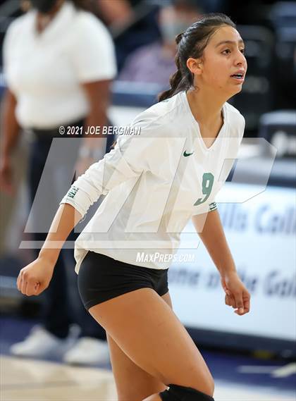 Thumbnail 3 in Mission Oak vs. Reedley (CIF-CS D5 Final) photogallery.