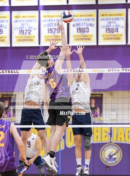 Thumbnail 3 in Perry @ Mesa photogallery.