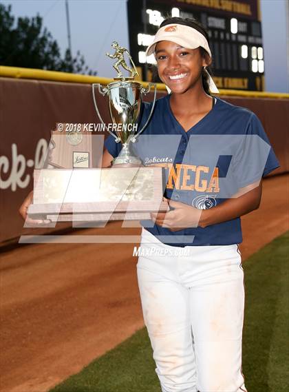 Thumbnail 3 in Cienega (AIA 5A Final Awards) photogallery.