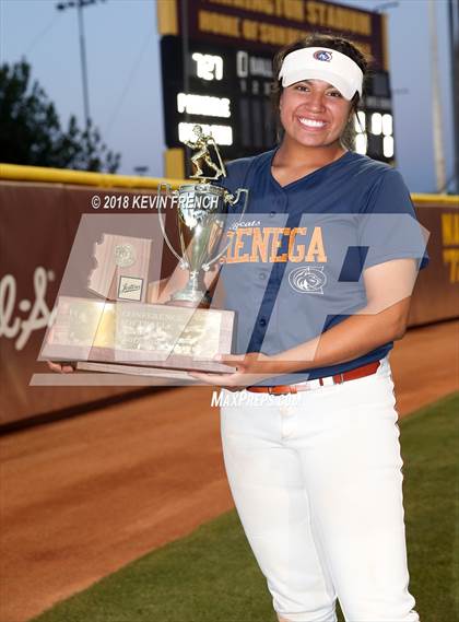 Thumbnail 2 in Cienega (AIA 5A Final Awards) photogallery.