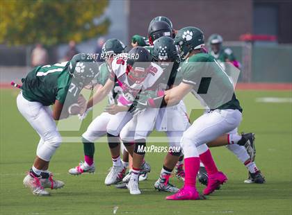 Thumbnail 3 in Patchogue-Medford @ Lindenhurst photogallery.