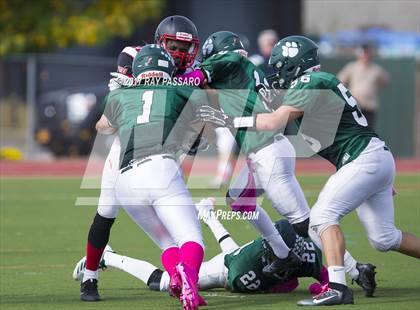 Thumbnail 3 in Patchogue-Medford @ Lindenhurst photogallery.