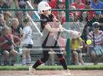 Photo from the gallery "Dover vs. Logan Elm (OHSAA D2 Regional Final)"