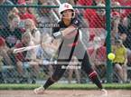 Photo from the gallery "Dover vs. Logan Elm (OHSAA D2 Regional Final)"
