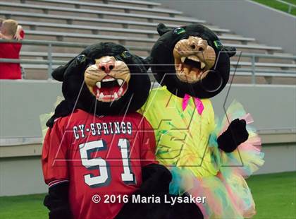 Thumbnail 3 in Cypress Springs @ Cy-Fair photogallery.