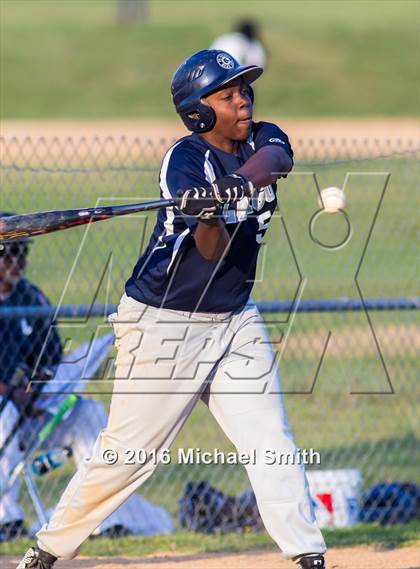 Thumbnail 3 in Northwestern @ Largo photogallery.