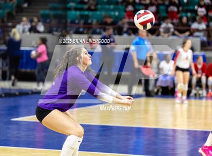 Thumbnail 3 in Pine Creek vs. Denver South (CHSAA 5A First Round) photogallery.