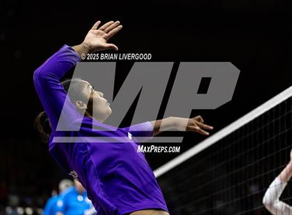 Thumbnail 3 in Pine Creek vs. Denver South (CHSAA 5A First Round) photogallery.