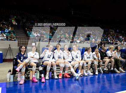 Thumbnail 1 in Pine Creek vs. Denver South (CHSAA 5A First Round) photogallery.