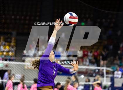 Thumbnail 2 in Pine Creek vs. Denver South (CHSAA 5A First Round) photogallery.