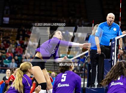 Thumbnail 1 in Pine Creek vs. Denver South (CHSAA 5A First Round) photogallery.